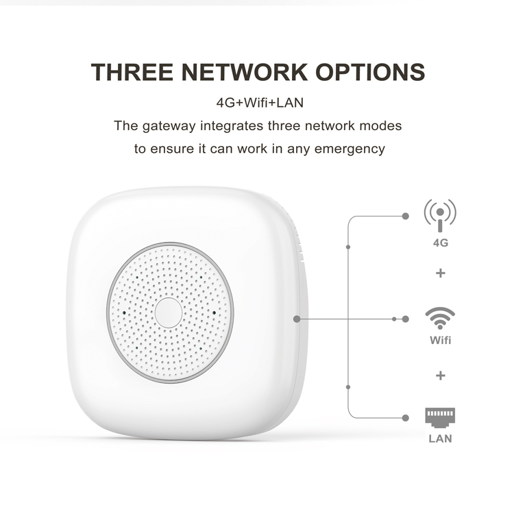 R7077 4G ZigBee Gateway - ZigBee Gateway - 2