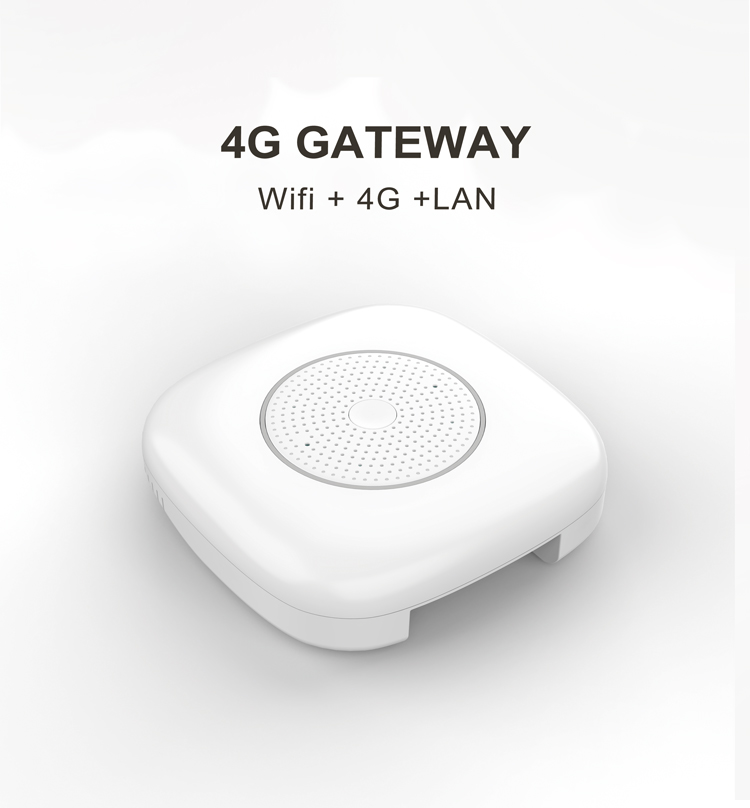 R7077 4G ZigBee Gateway - ZigBee Gateway - 1